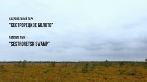 Поход выходного дня в окрестностях Питера. Эко-тропа Сестрорецкое болото (национальный парк).