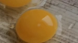 Как узнать оплод яиц, от молодых самочек перепелов.
