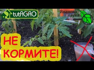 КАК СЭКОНОМИТЬ? НЕ НАРУШАЙТЕ ЗАКОНЫ ПРИРОДЫ! Когда, как и чем НЕ СТОИТ подкармливать растения.
