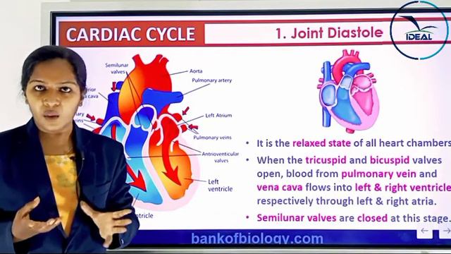PLUS ONE ZOOLOGY - BODY FLUIDS AND CIRCULATION PART 3 смотреть онлайн