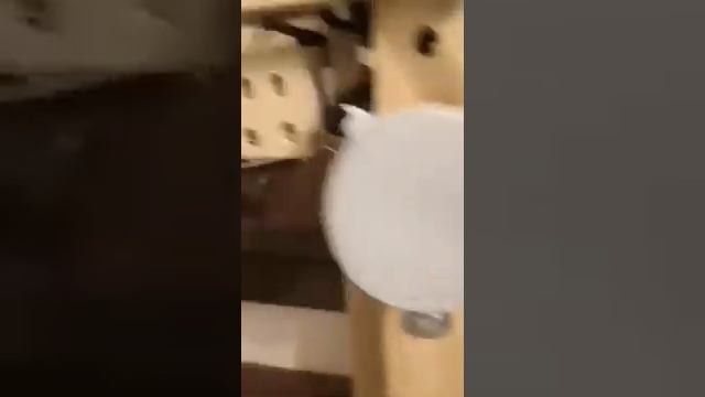 Автоматический лаз для курятника с таймером. смотреть онлайн