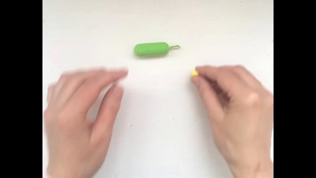 Лепка цветущего огурца