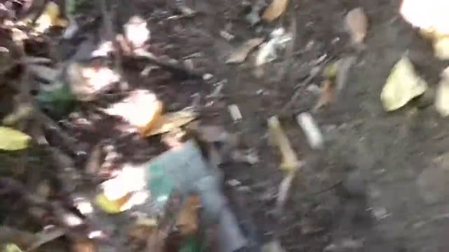 Time to be brave boy! Fort adventures ep 4 смотреть онлайн