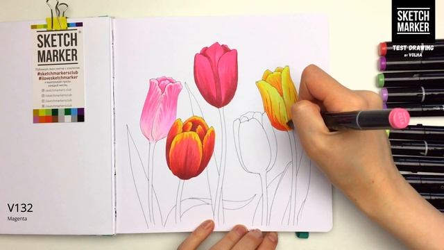 Sketchmarker Test Drawing #6 / Рисую маркерами Sketchmarker тюльпаны