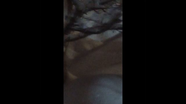 Снегокосильщик. О трудной, полной приключений, забавных и не очень, жизни в ближайшем Подмосковье. смотреть онлайн