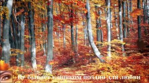 Не бывает слишком поздно для любви