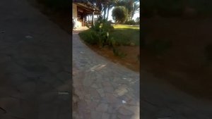Тунис в октябре 2019(1)