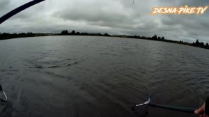 Щука и окунь в сентябре .Как и на что!!!