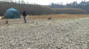 Река Бикин, в октябре 2017, собираемся на рыбалку...