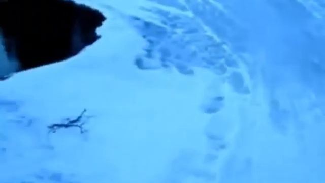 Мотобуксировщики - переезд через реку зимой смотреть онлайн