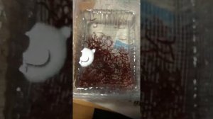 Сито для мотыля самодельное - вариант 2