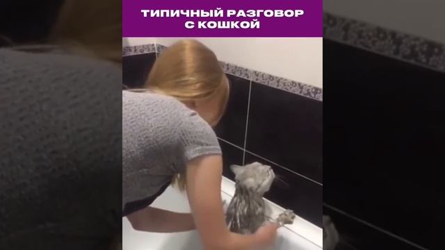 нормально...