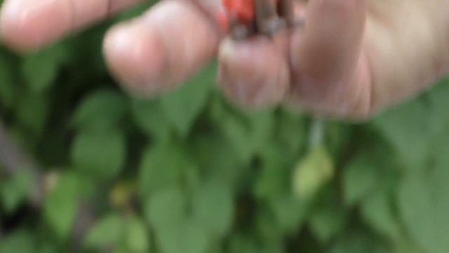 Купаемся в бассейне разноцветные шарики игрушки Миньон Minions toys unboxing смотреть онлайн