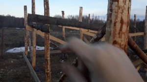 Сарай для гусей. Продолжение. Думаю о кровле.