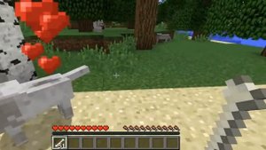 ТОП 10 ФАКТОВ О ВОЛКАХ В МАЙНКРАФТЕ КОТОРЫЕ ВЫ НЕ ЗНАЛИ