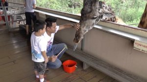 Зоопарк Дусит, Бангкок, Таиланд