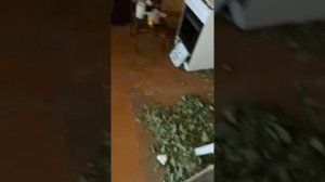 Как заработать в деревне без вложенийДелаем веники для бани