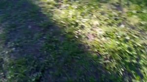 ? КАК научиться БЫСТРО бегать | Учимся быстро бегать | Всё ТОТ ЖЕ ВЛОГ