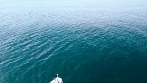 Черное море, лето 2022 (п. Бжид, бухта Инал)