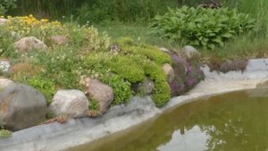 В гостях у тезки 4. Декоративный пруд и альпийская горка на даче. Садовые композиции  на участке.