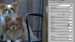 (3 of 17) Photoshop CS3 Workflow for Photographers