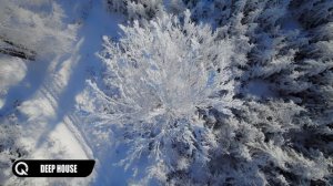 ХИТЫ 2024?Лучшая Музыка 2024⛄ Зарубежные песни Хиты ⛄ Популярные Песни Слушать Бесплатно 2024 #142