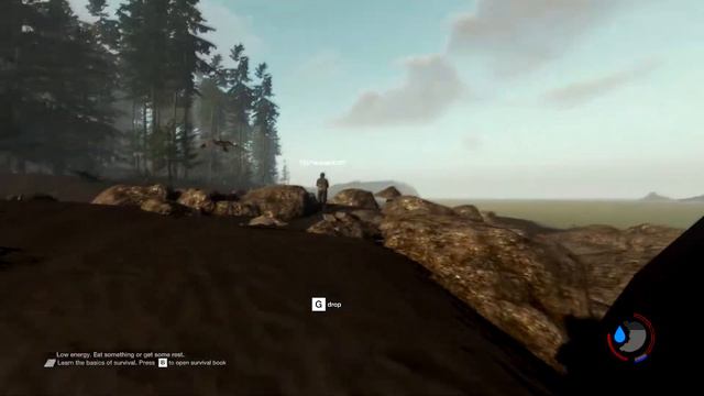 The Forest 0.18b / CO-OP Дмитрия Дэвиса и Олега Бабл'а! Совместное прохождение игры #1 смотреть онлайн