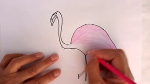 How to draw a pink flamingo. Как нарисовать розового фламинго.