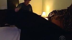 Undercover Boss - 7-Eleven S1 EP3 (U.S. TV Series)