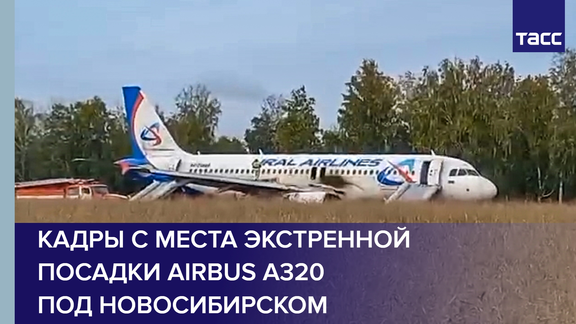 Кадры с места экстренной посадки Airbus A320 под Новосибирском #shorts