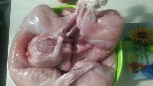 Убойный возраст кролика. Сколько мяса в кролике?/Дом в Сибири