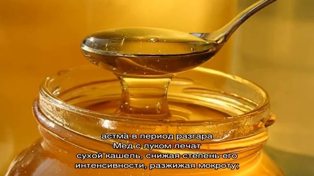 Как правильно готовить и применять лук с медом от кашля смотреть онлайн