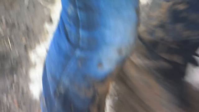 Испачкался. смотреть онлайн