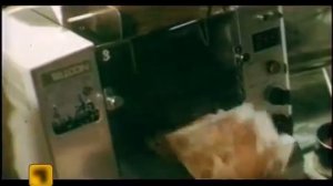 СЕКТОР ГАЗА   Гуляй, мужик!