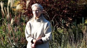 Злаки в дизайне сада