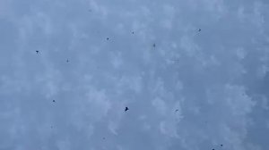 Топка кирпичной печки отработкой. Лучший способ. Нано-кизяк или таблетка Чубайса.