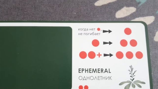 Эволюция Растения . Обзор смотреть онлайн