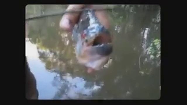 большой улов смотреть онлайн