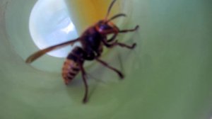 Сплав 02.06.2022