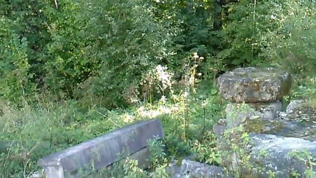 Продается 7сот Земли поселений д.Машково смотреть онлайн