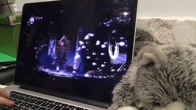 Жесточайший Сосуд! HOLLOW KNIGHT - ПАНТЕОНЫ! ПАНТЕОН РЫЦАРЯ! ЧАСТЬ 1.1. ЧИСТЫЙ СОСУД И… ВСЁ… смотреть онлайн