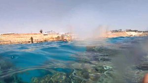 Reef Oasis Beach Resort 5* понтон, дайвинг и сноркелинг