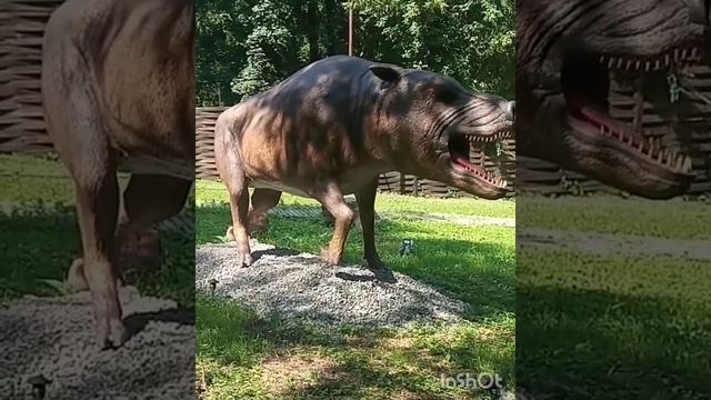 Парк динозавров??#днепр #динопарк #паркдинозавровднепр #зеленыйгайпарк #паркдинозавров смотреть онлайн