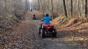 Поездка по Арбековскому лесу на квадроциклах Avantis Hunter.