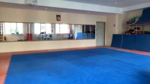 Аттестация Тхэквондо ИТФ: От Белого До Черного Пояса!