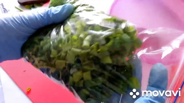 СУПЕР СПОСОБ сохранить зелёный лук на зиму. 23 мая 2021 г смотреть онлайн