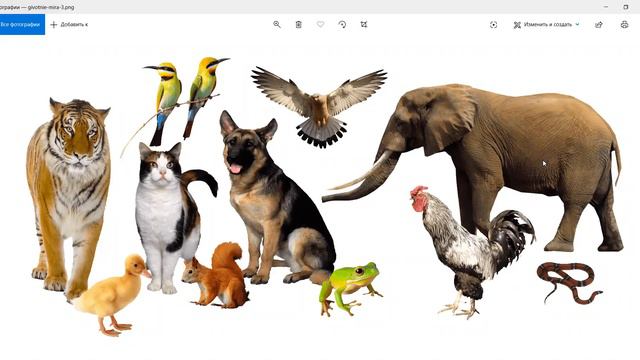 Диктант смотреть онлайн