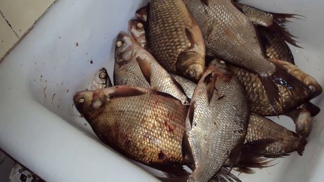 Рыбалка наше увлечение. смотреть онлайн