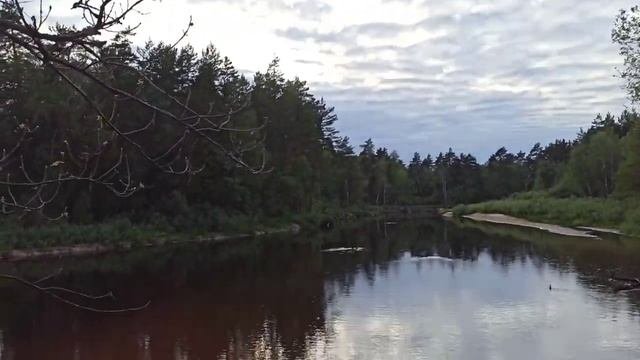 #ДЕУЛИНО