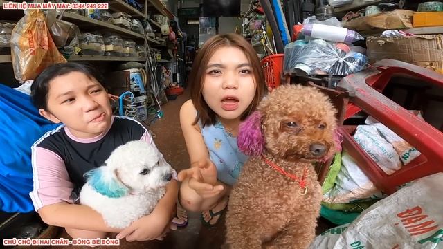 TẬP 38: TIN VUI - GIẢI CỨU THÀNH CÔNG EM SU THOÁT KHỎI TAY HACKER "ÁO ĐỎ" | BÔNG BÉ BỎNG смотреть онлайн